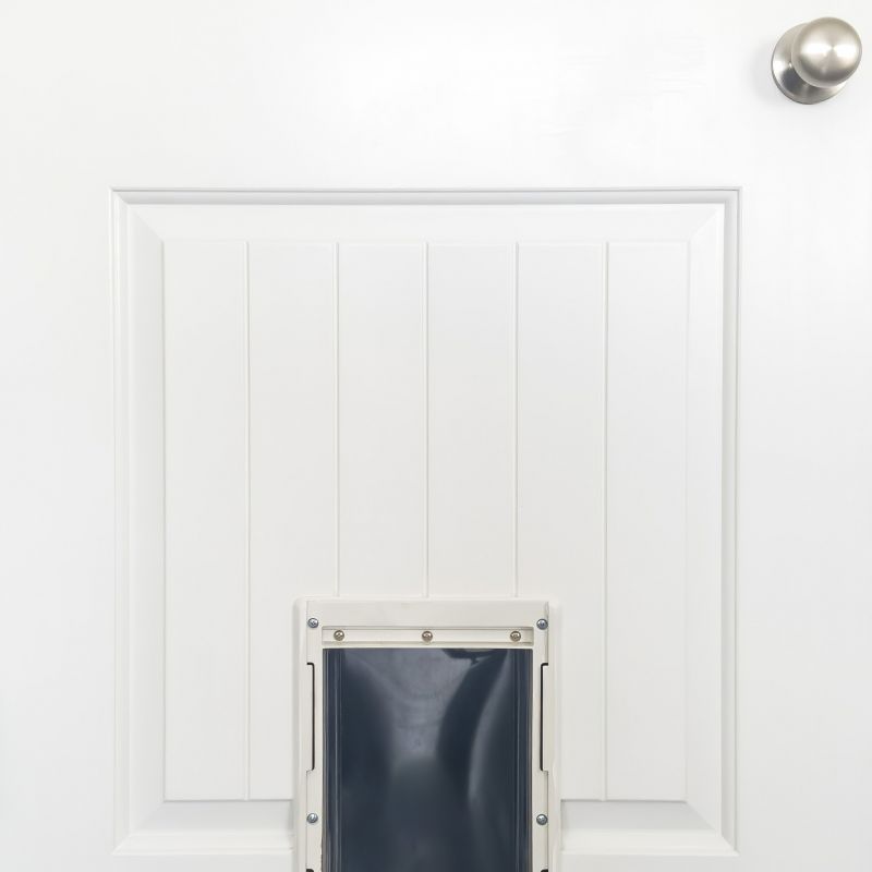 Dog Door Replacement